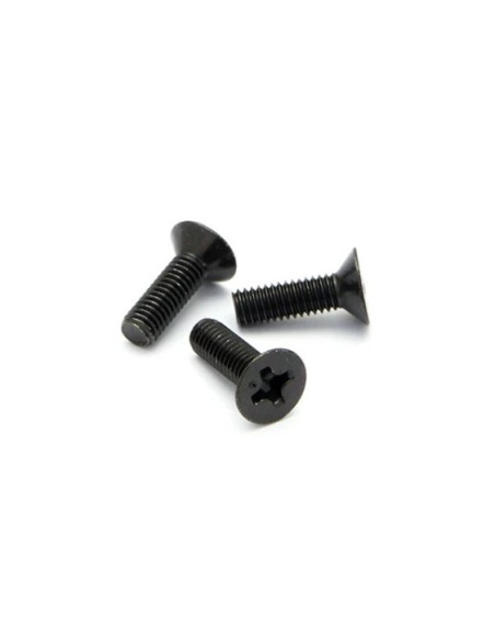 FLAT HEAD SCREW M3x10mm (6pcs)