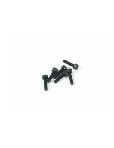 CAP HEAD SCREW M3x12mm (6pcs)
