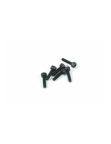 CAP HEAD SCREW M3x12mm (6pcs)