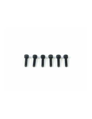 CAP HEAD SCREW M3x12mm (6pcs)
