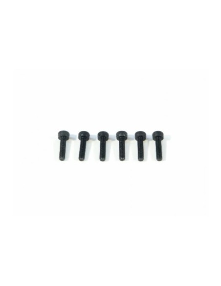 CAP HEAD SCREW M3x12mm (6pcs)