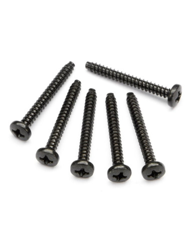 TP BINDER HEAD SCREW M3X25MM (6PCS)
