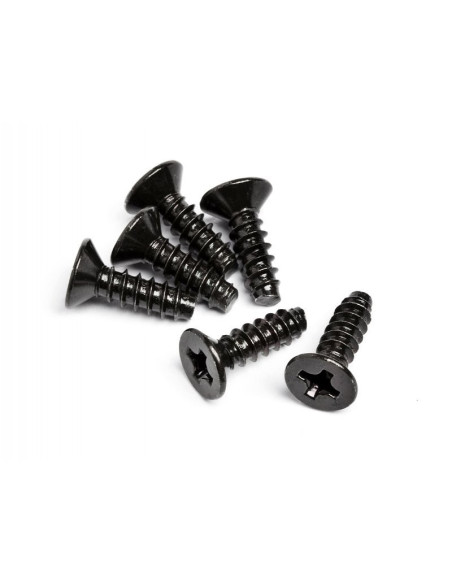 TP FLAT HEAD SCREW M3 X 10MM (6 PCS)