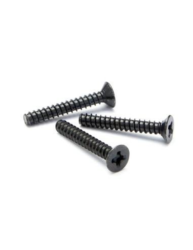TP FLAT HEAD SCREW M3X20MM (10PCS)