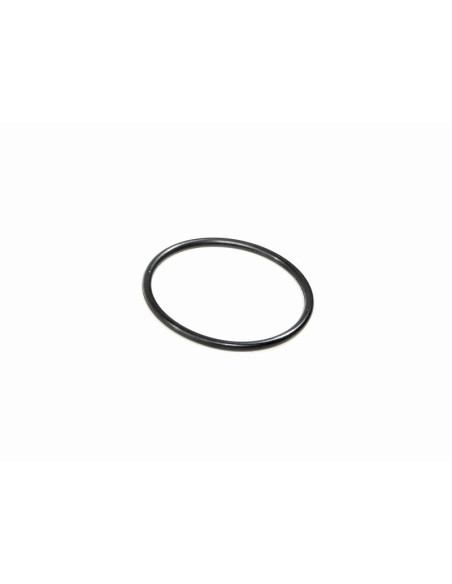 O Ring For Cover Plate (F4,1)