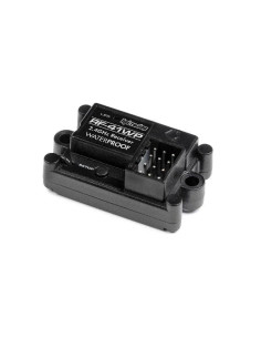 HPI TF41/RF41WP 2.4GHZ... 2