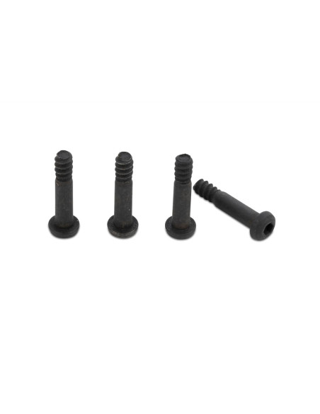Step Screw M4x20mm