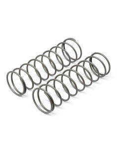Big Bore Shock Spring...