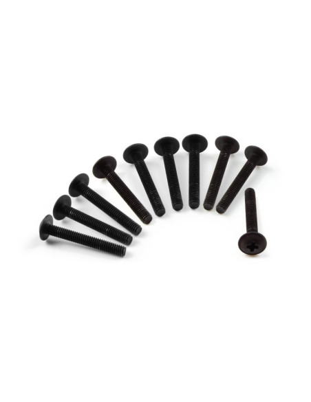 BINDER HEAD SCREW M2.5x16 (10PCS)