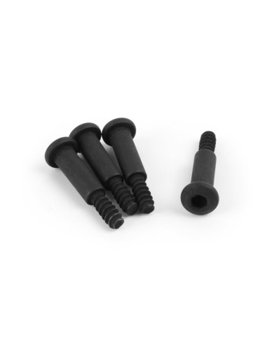 Step Screw M3x19mm (Hex Socket-4pcs)
