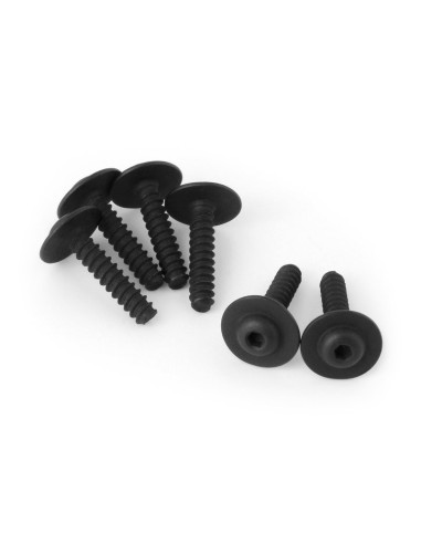 TP. Flanged Screw M2.6x12mm (Hex Socket-6pcs)