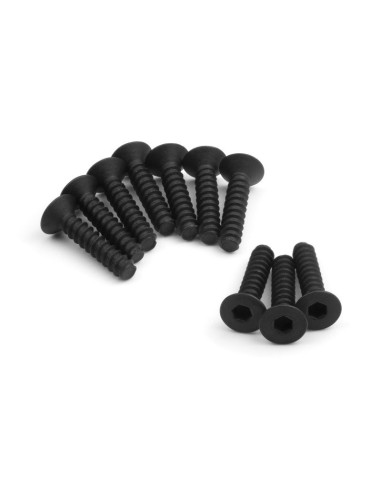 TP. FLAT HEAD SCREW M3x14mm (HEX SOCKET-10pcs)