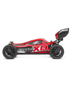 BUGGY PAINTED BODY RED (XB) 2