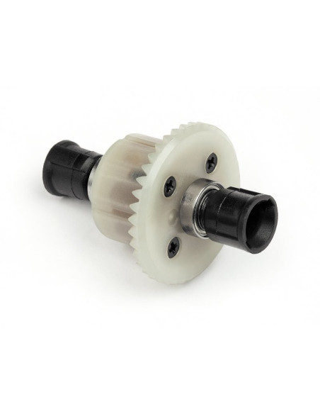 COMPLETE GEAR DIFF. FR OR RR (ALL ION)