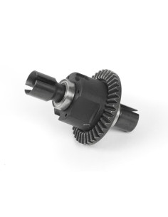 ASSEMBLED DIFFERENTIAL FR/RR