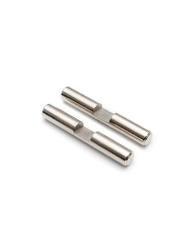 Differential Gear Shaft (2pcs)
