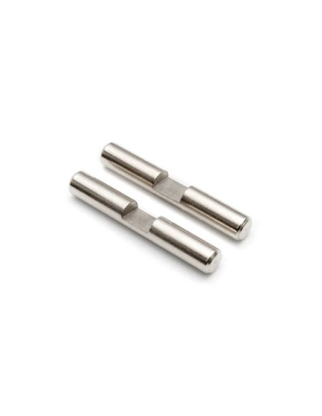 Differential Gear Shaft (2pcs)
