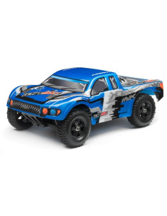 PAINTED TRUGGY BODY WITH...