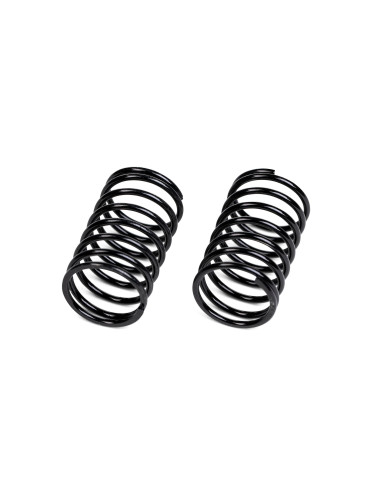 Spring Set 24x40x2.0mm 8 Coils (2pcs)