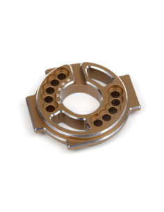 Aluminum Motor Mount (Gold)