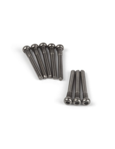 Screw Shaft M2.5x20.5mm (Hex Socket/8pcs)