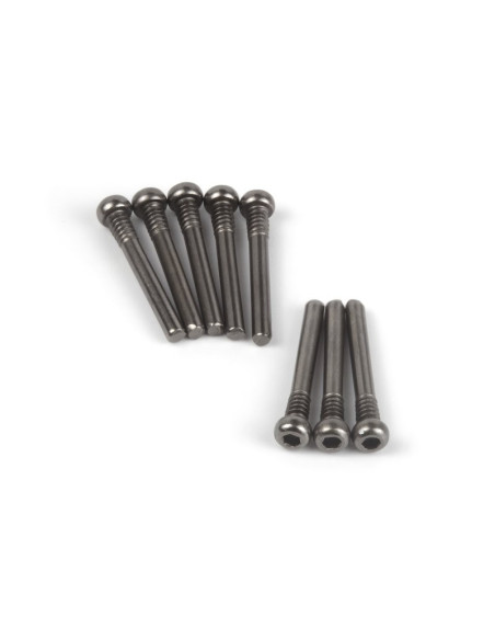 Screw Shaft M2.5x20.5mm (Hex Socket/8pcs)