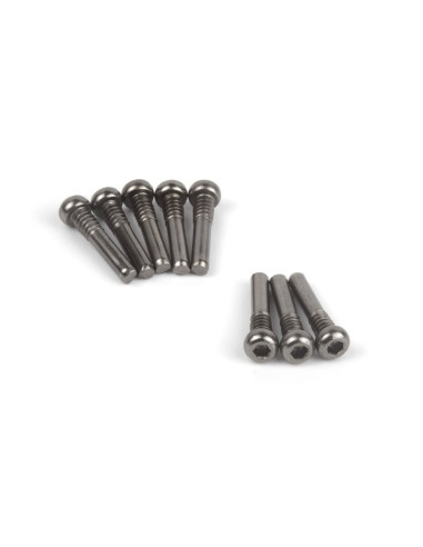 Screw Shaft M2.5x13.5mm (Hex Socket/8pcs)