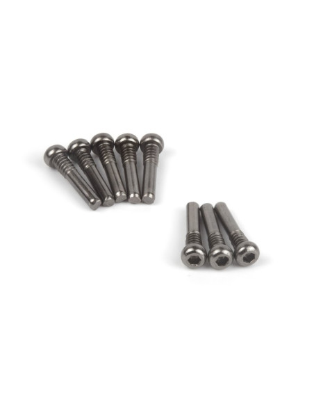 Screw Shaft M2.5x13.5mm (Hex Socket/8pcs)