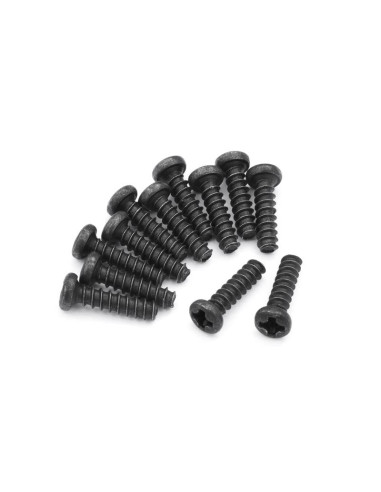 Pan head Self Tapping Screws PBHO2x8mm