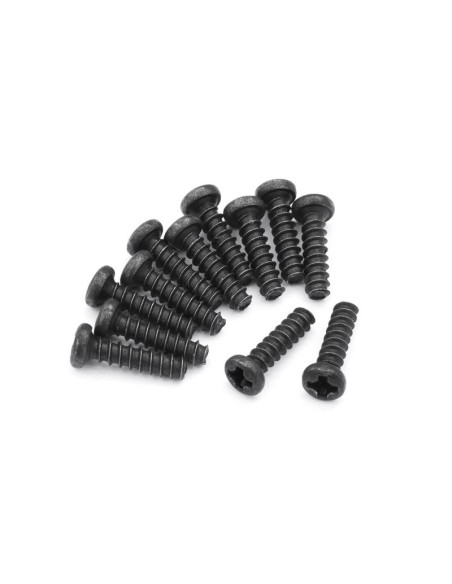 Pan head Self Tapping Screws PBHO2x8mm