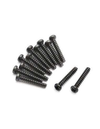 Pan head Self Tapping Screws PBHO2x12mm