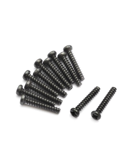 Pan head Self Tapping Screws PBHO2x12mm