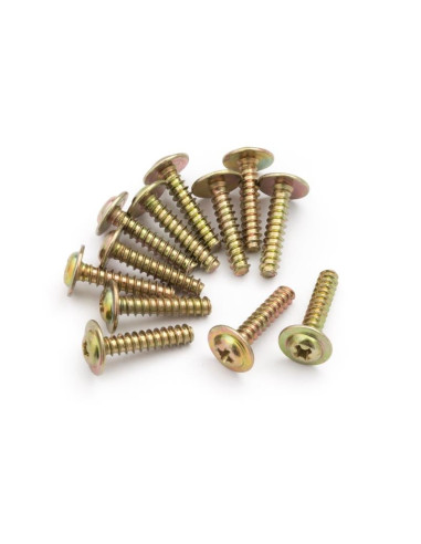 Flange Head Self Tapping Screws PWTHO2.6x12mm