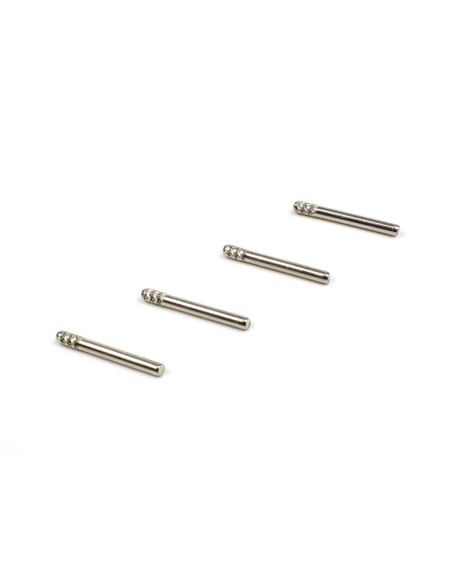 Lower Outer Hinge Pin Set