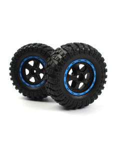 Smyter Desert Wheels/Tires...