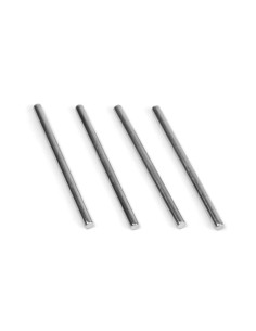 Lower Suspension Hinge Pins...