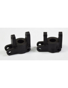 C-Hub Carrier (CR2.4)