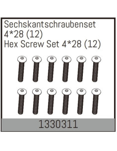 Hex Screw Set 4*28