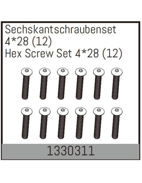 Hex Screw Set 4*28