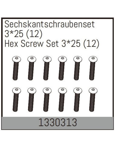 Hex Screw Set 3*25