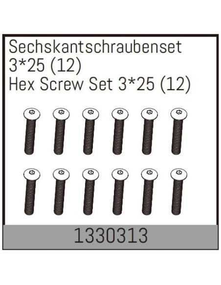 Hex Screw Set 3*25