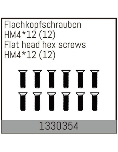 Flat head hex fine pitch screws HM4*12/12 pcs