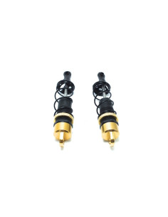 Truggy/MT Shock Absorber 2
