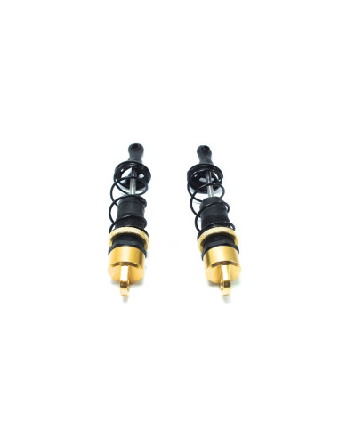 Truggy/MT Shock Absorber