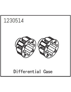 Differential Case