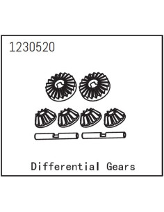 Differential Gear Set
