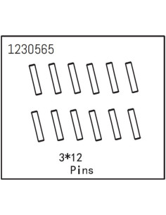 Pins 3x12