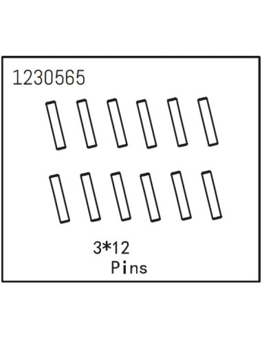 Pins 3x12