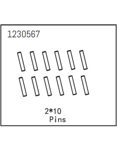 Pins 2x10
