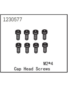 Cap Head Screw M2x4